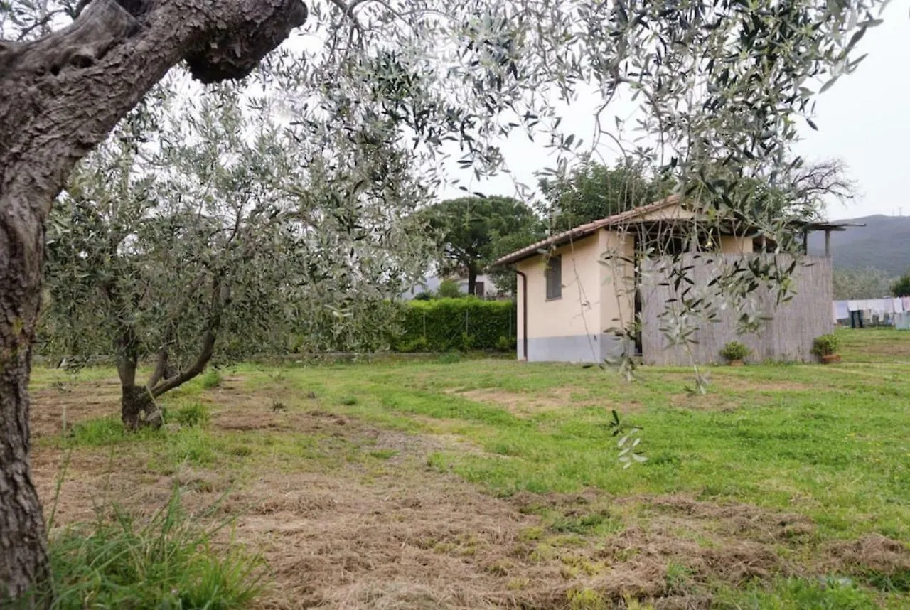 Villetta Sotto Castagno contacts